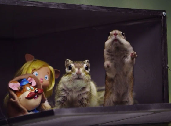 Chip N Dale, Disney Chip N Dale, Disney